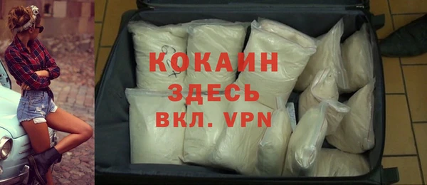 кокс Алексин