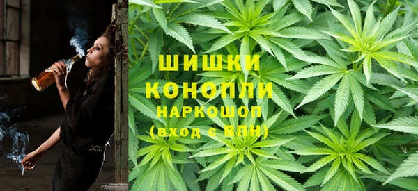 стаф Алзамай