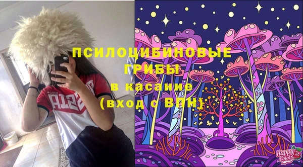 кокс Алексин