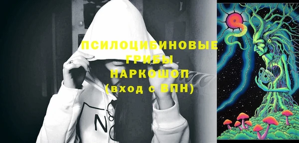 кокс Алексин