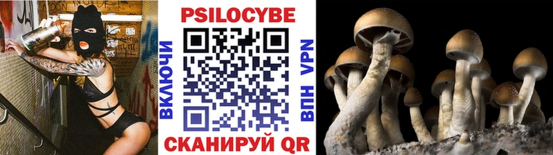 цены наркотик Урюпинск Галлюциногенные грибы Cubensis